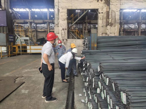 省 市 區(qū)三級市場監(jiān)管部門聯(lián)合開展鋼筋 水泥生產(chǎn)企業(yè)監(jiān)督檢查
